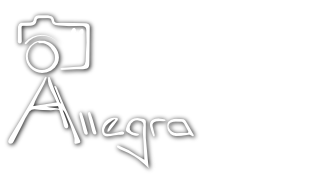 Allegraphotoart logo-320w