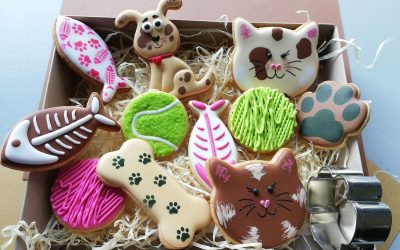 Biscuit Studio